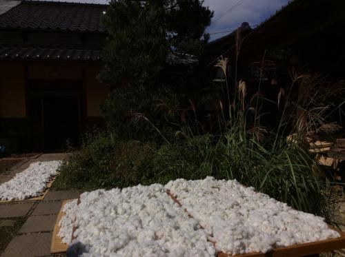 51447854_395358721213410_1658689152507445248_n